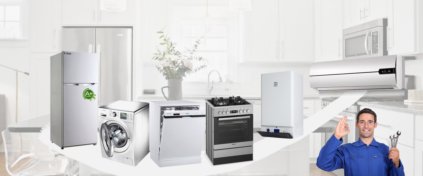 Çandarlı Smeg Servisi